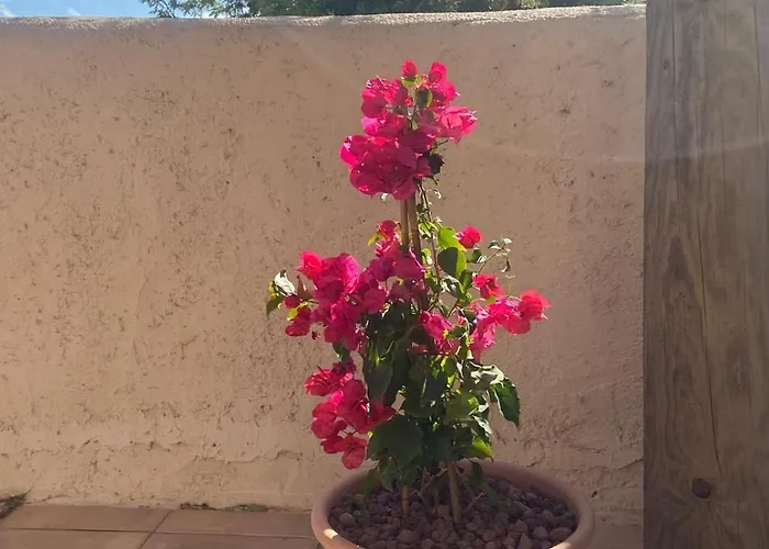 Apartamento Santa Giulia Paradise